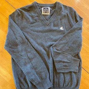 Express V-Neck Sweater